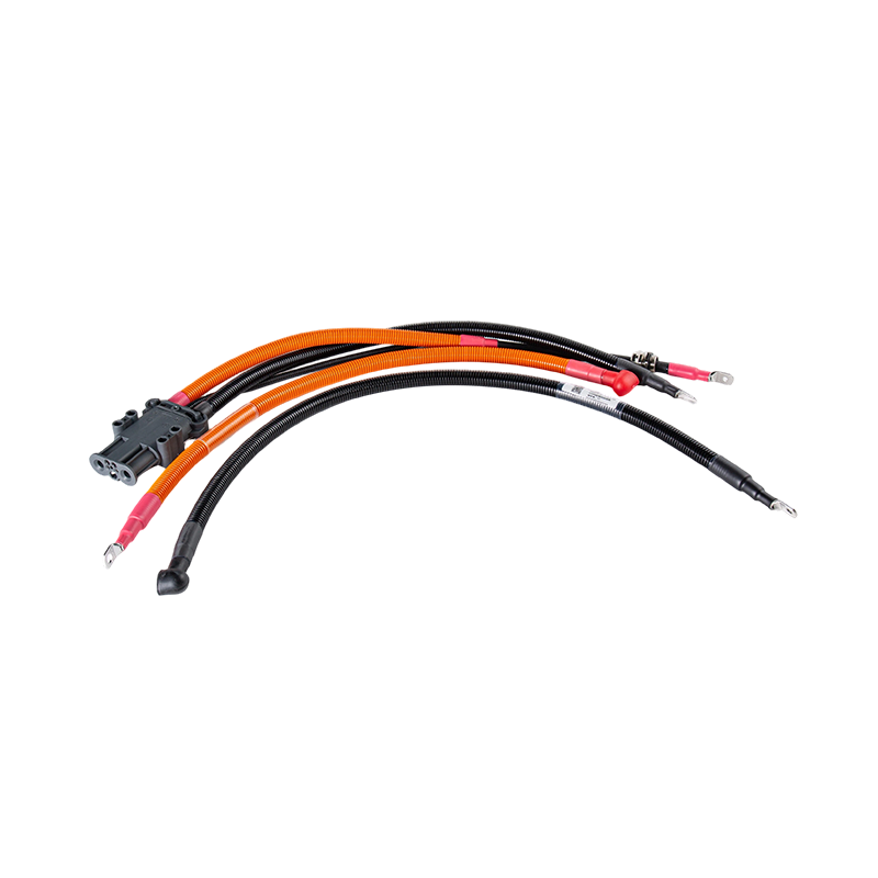 Cablaggio di scarico carica batteria al litio impermeabile anti-allentamento anti-arco