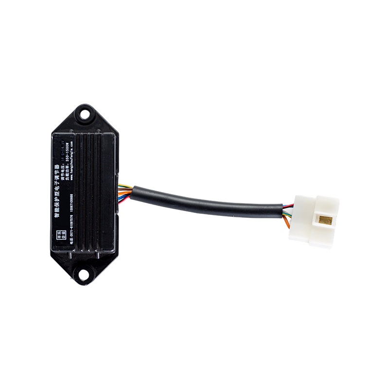 Regolatore elettronico del sistema di ricarica del carrello elevatore industriale con sovratensione e sovracorrente ad ampia tensione IP65 DC24V